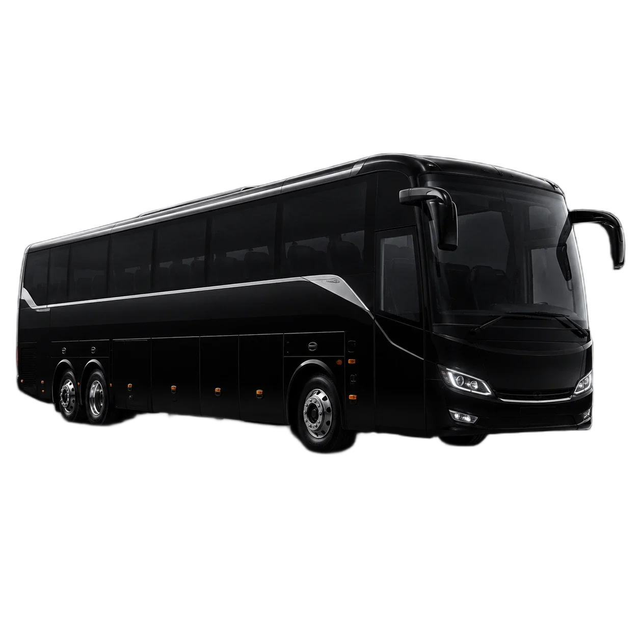 Executive Coach