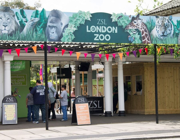 Camden & Regent’s Park